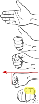 How to form a proper fist (seiken)